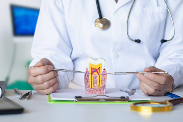 Best Broken or Chipped Tooth Repair in Elbow Lake, MN
